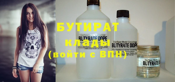 амф Гусев