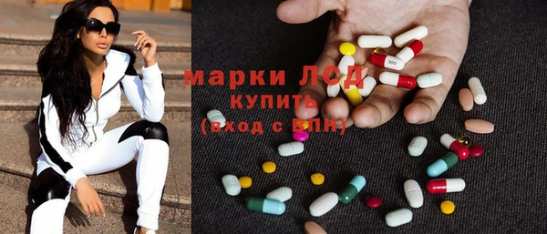 гидра Гусиноозёрск