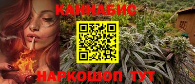 jwh Бийск