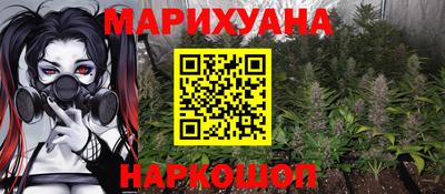 jwh Бийск