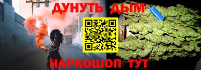 jwh Бийск